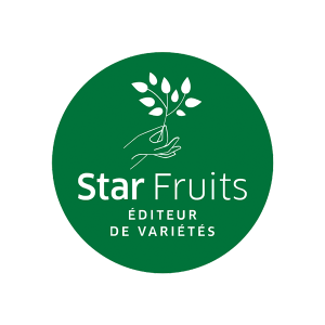 logo-StarFruits